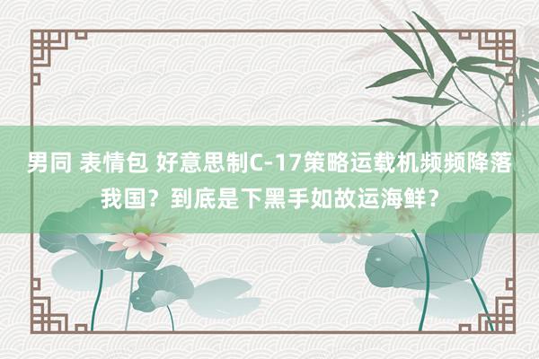 男同 表情包 好意思制C-17策略运载机频频降落我国？到底是下黑手如故运海鲜？