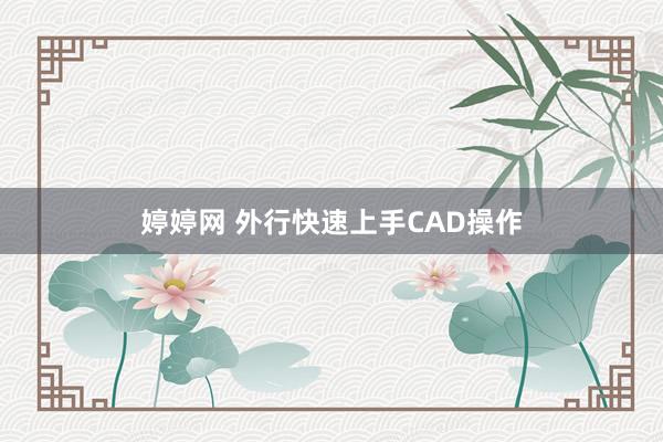   婷婷网 外行快速上手CAD操作