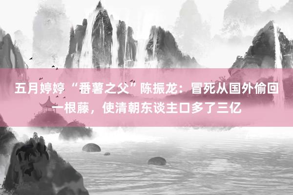 五月婷婷 “番薯之父”陈振龙：冒死从国外偷回一根藤，使清朝东谈主口多了三亿