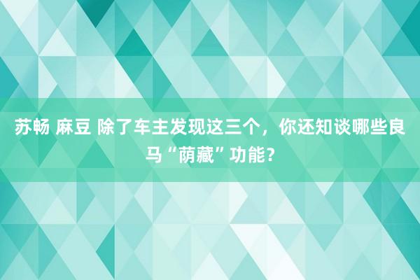   苏畅 麻豆 除了车主发现这三个，你还知谈哪些良马“荫藏”功能？