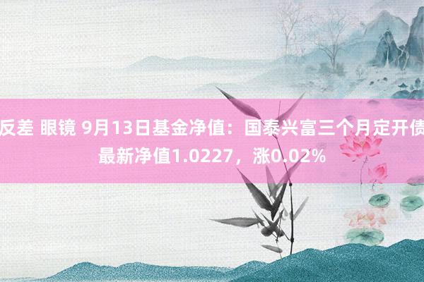 反差 眼镜 9月13日基金净值：国泰兴富三个月定开债最新净值1.0227，涨0.02%