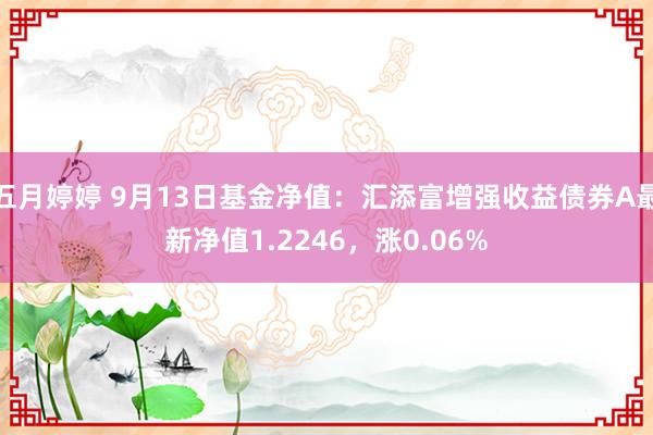 五月婷婷 9月13日基金净值：汇添富增强收益债券A最新净值1.2246，涨0.06%