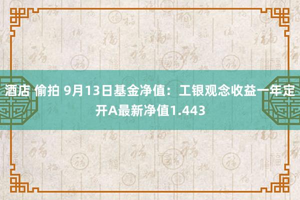   酒店 偷拍 9月13日基金净值：工银观念收益一年定开A最新净值1.443