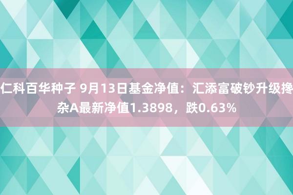   仁科百华种子 9月13日基金净值：汇添富破钞升级搀杂A最新净值1.3898，跌0.63%