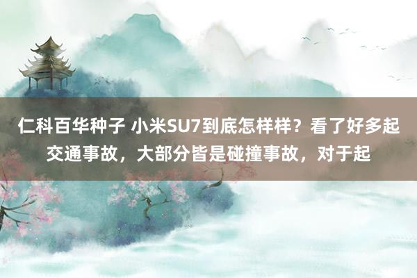 仁科百华种子 小米SU7到底怎样样？看了好多起交通事故，大部