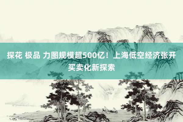   探花 极品 力图规模超500亿！上海低空经济张开买卖化新探索