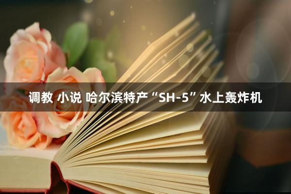   调教 小说 哈尔滨特产“SH-5”水上轰炸机