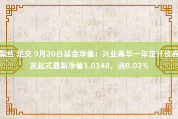   黑丝 足交 9月20日基金净值：兴业嘉华一年定开债券发起式最新净值1.0348，涨0.02%