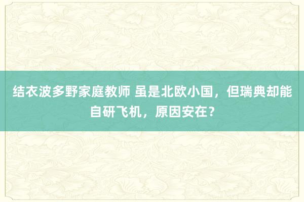   结衣波多野家庭教师 虽是北欧小国，但瑞典却能自研飞机，原因安在？