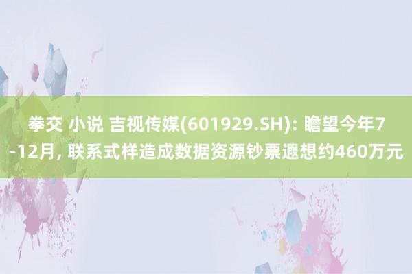   拳交 小说 吉视传媒(601929.SH): 瞻望今年7-12月, 联系式样造成数据资源钞票遐想约460万元