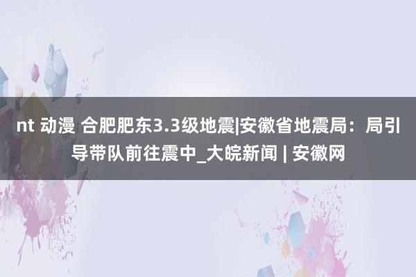   nt 动漫 合肥肥东3.3级地震|安徽省地震局：局引导带队前往震中_大皖新闻 | 安徽网