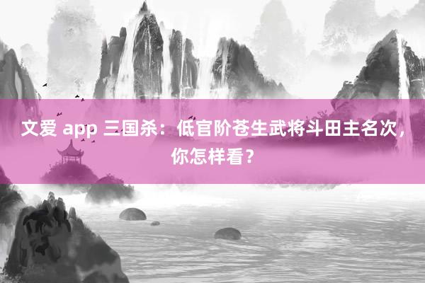   文爱 app 三国杀：低官阶苍生武将斗田主名次，你怎样看？