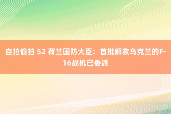   自拍偷拍 52 荷兰国防大臣：首批解救乌克兰的F-16战机已委派