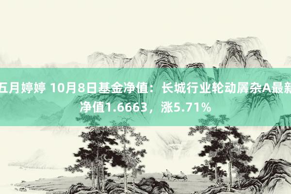   五月婷婷 10月8日基金净值：长城行业轮动羼杂A最新净值1.6663，涨5.71%