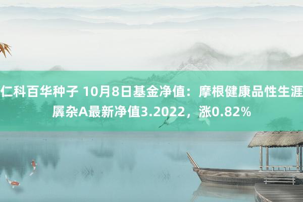   仁科百华种子 10月8日基金净值：摩根健康品性生涯羼杂A最新净值3.2022，涨0.82%