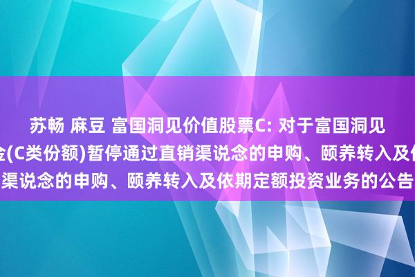 苏畅 麻豆 富国洞见价值股票C: 对于富国洞见价值股票型证券投资基金(C类份额)暂停通过直销渠说念的申购、颐养转入及依期定额投资业务的公告