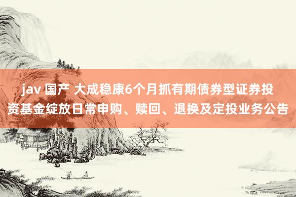   jav 国产 大成稳康6个月抓有期债券型证券投资基金绽放日常申购、赎回、退换及定投业务公告