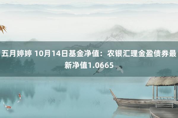   五月婷婷 10月14日基金净值：农银汇理金盈债券最新净值1.0665