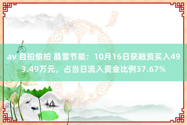   av 自拍偷拍 晶雪节能：10月16日获融资买入493.49万元，占当日流入资金比例37.67%