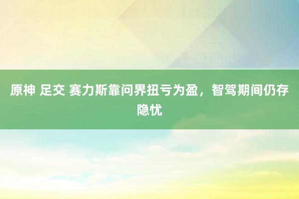   原神 足交 赛力斯靠问界扭亏为盈，智驾期间仍存隐忧