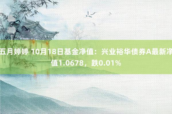   五月婷婷 10月18日基金净值：兴业裕华债券A最新净值1.0678，跌0.01%