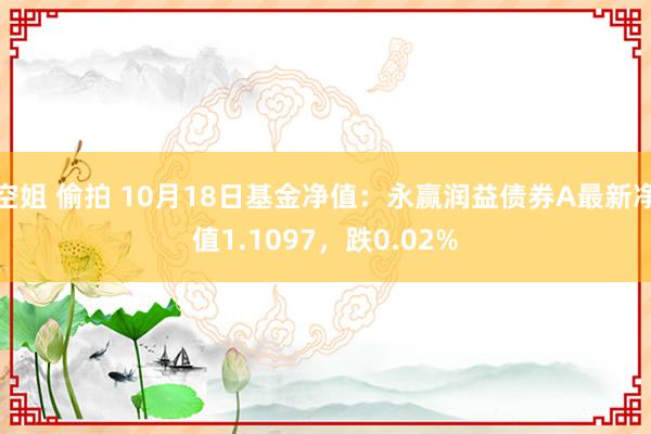   空姐 偷拍 10月18日基金净值：永赢润益债券A最新净值1.1097，跌0.02%