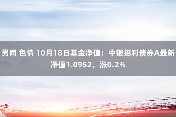 男同 色情 10月18日基金净值：中银招利债券A最新净值1.0952，涨0.2%