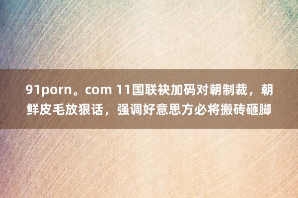 91porn。com 11国联袂加码对朝制裁，朝鲜皮毛放狠话，强调好意思方必将搬砖砸脚