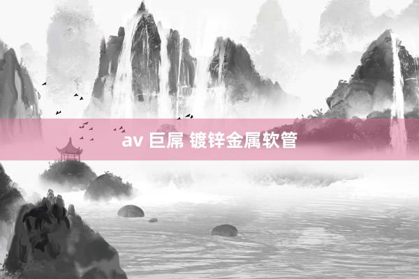   av 巨屌 镀锌金属软管