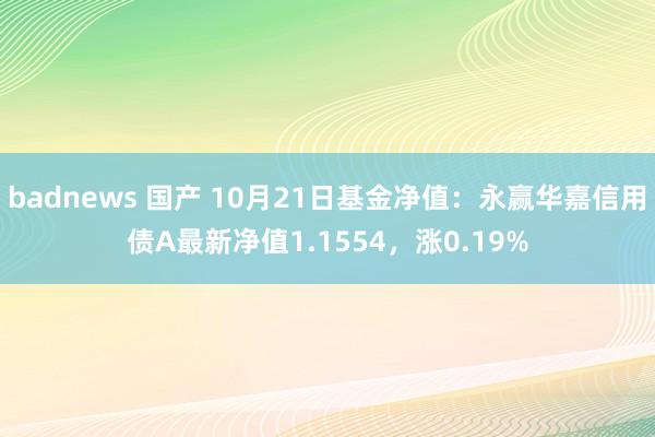 badnews 国产 10月21日基金净值：永赢华嘉信用债A最新净值1.1554，涨0.19%