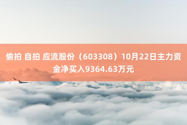   偷拍 自拍 应流股份（603308）10月22日主力资金净买入9364.63万元