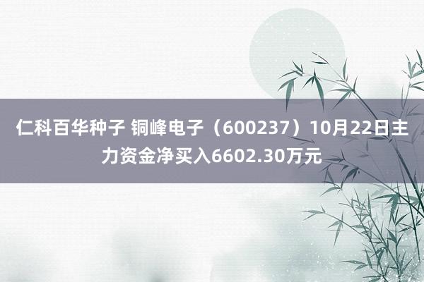   仁科百华种子 铜峰电子（600237）10月22日主力资金净买入6602.30万元