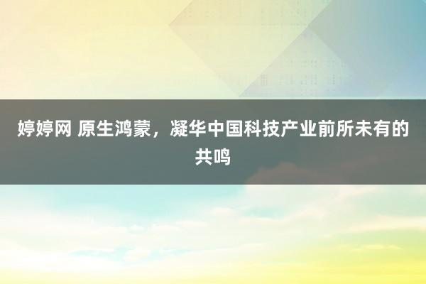   婷婷网 原生鸿蒙，凝华中国科技产业前所未有的共鸣