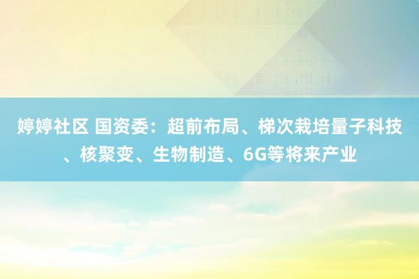 婷婷社区 国资委：超前布局、梯次栽培量子科技、核聚变、生物制造、6G等将来产业