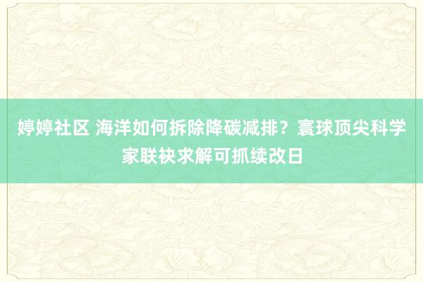 婷婷社区 海洋如何拆除降碳减排？寰球顶尖科学家联袂求解可抓续改日