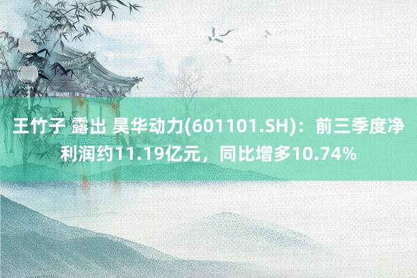 王竹子 露出 昊华动力(601101.SH)：前三季度净利润约11.19亿元，同比增多10.74%