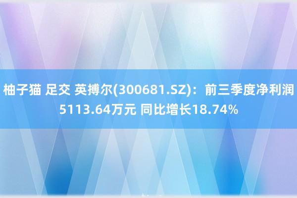 柚子猫 足交 英搏尔(300681.SZ)：前三季度净利润5113.64万元 同比增长18.74%