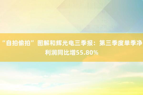 “自拍偷拍” 图解和辉光电三季报：第三季度单季净利润同比增55.80%