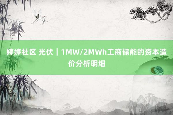 婷婷社区 光伏｜1MW/2MWh工商储能的资本造价分析明细