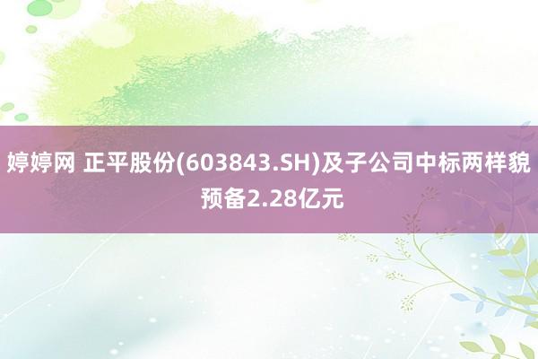   婷婷网 正平股份(603843.SH)及子公司中标两样貌 预备2.28亿元