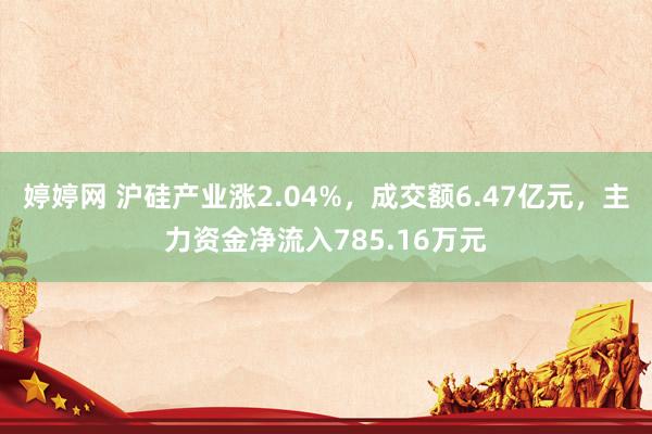   婷婷网 沪硅产业涨2.04%，成交额6.47亿元，主力资金净流入785.16万元