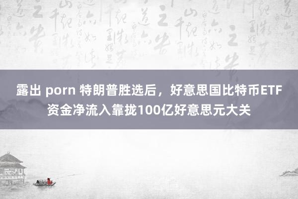 露出 porn 特朗普胜选后，好意思国比特币ETF资金净流入靠拢100亿好意思元大关