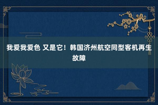 我爱我爱色 又是它！韩国济州航空同型客机再生故障