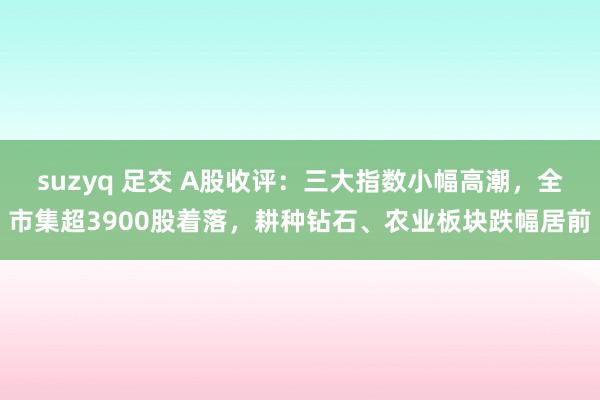 suzyq 足交 A股收评：三大指数小幅高潮，全市集超390