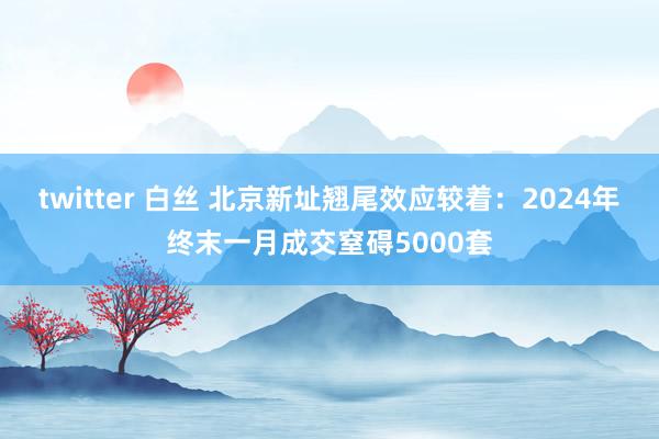 twitter 白丝 北京新址翘尾效应较着：2024年终末一