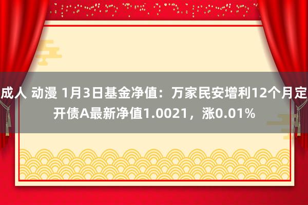 成人 动漫 1月3日基金净值：万家民安增利12个月定开债A最