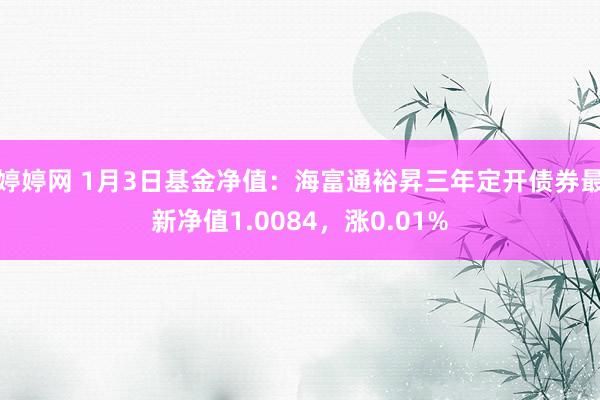 婷婷网 1月3日基金净值：海富通裕昇三年定开债券最新净值1.0084，涨0.01%