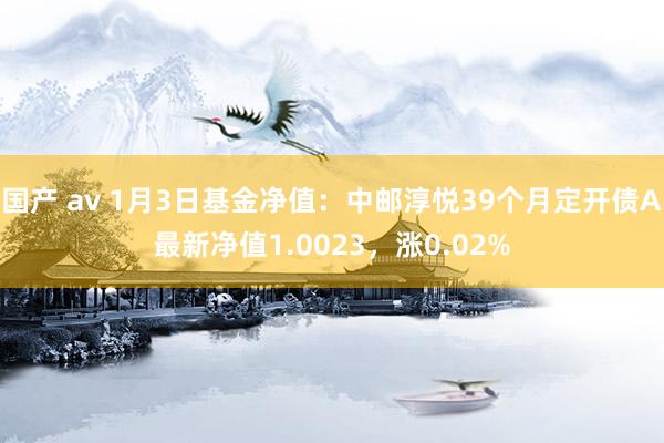 国产 av 1月3日基金净值：中邮淳悦39个月定开债A最新净