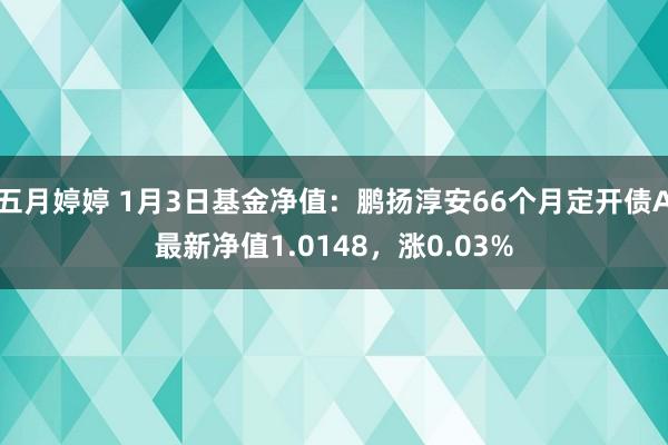 五月婷婷 1月3日基金净值：鹏扬淳安66个月定开债A最新净值