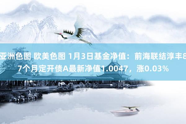 亚洲色图 欧美色图 1月3日基金净值：前海联结淳丰87个月定